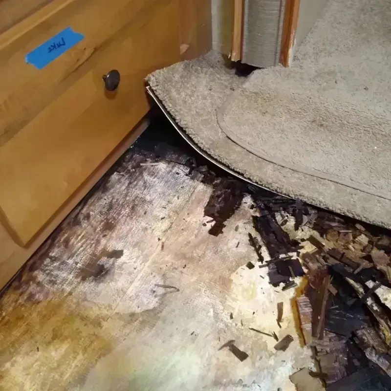 Wood Floor Water Damage in Western Springs, IL